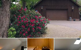 B&B De Drentse Es